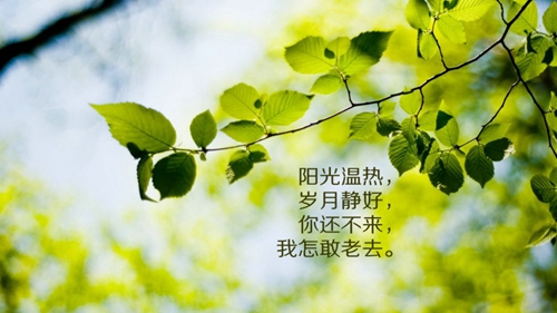小雷小雷下一句接什么比較好