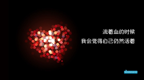 經典的情話2025
