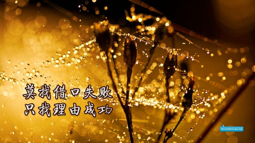 風中飛花已墜落是什么歌