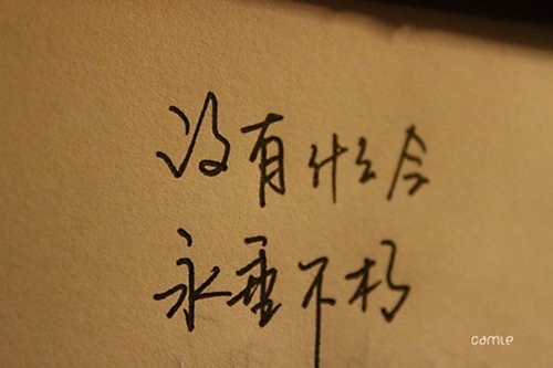 表白的英語句子給喜歡的人